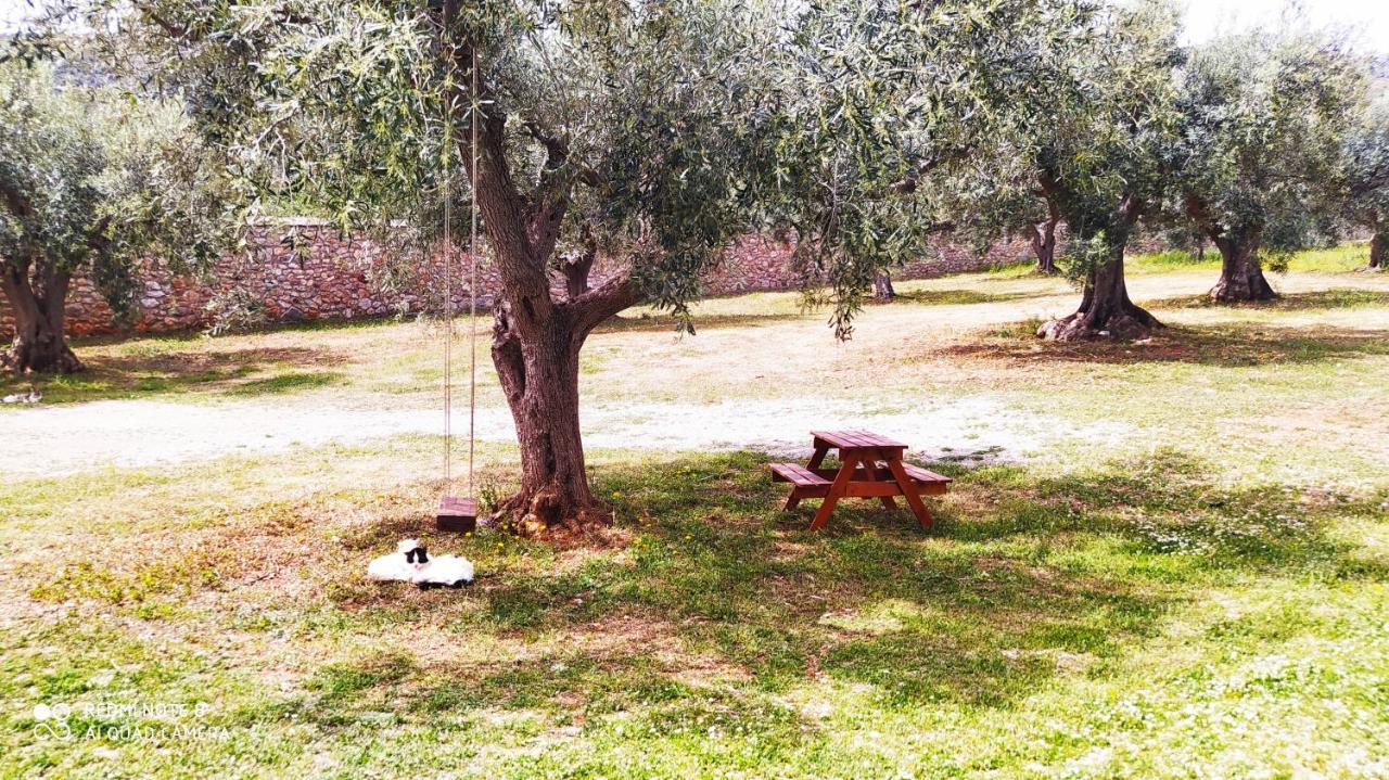 Villa In The Olive Trees Γαλαξίδι Εξωτερικό φωτογραφία